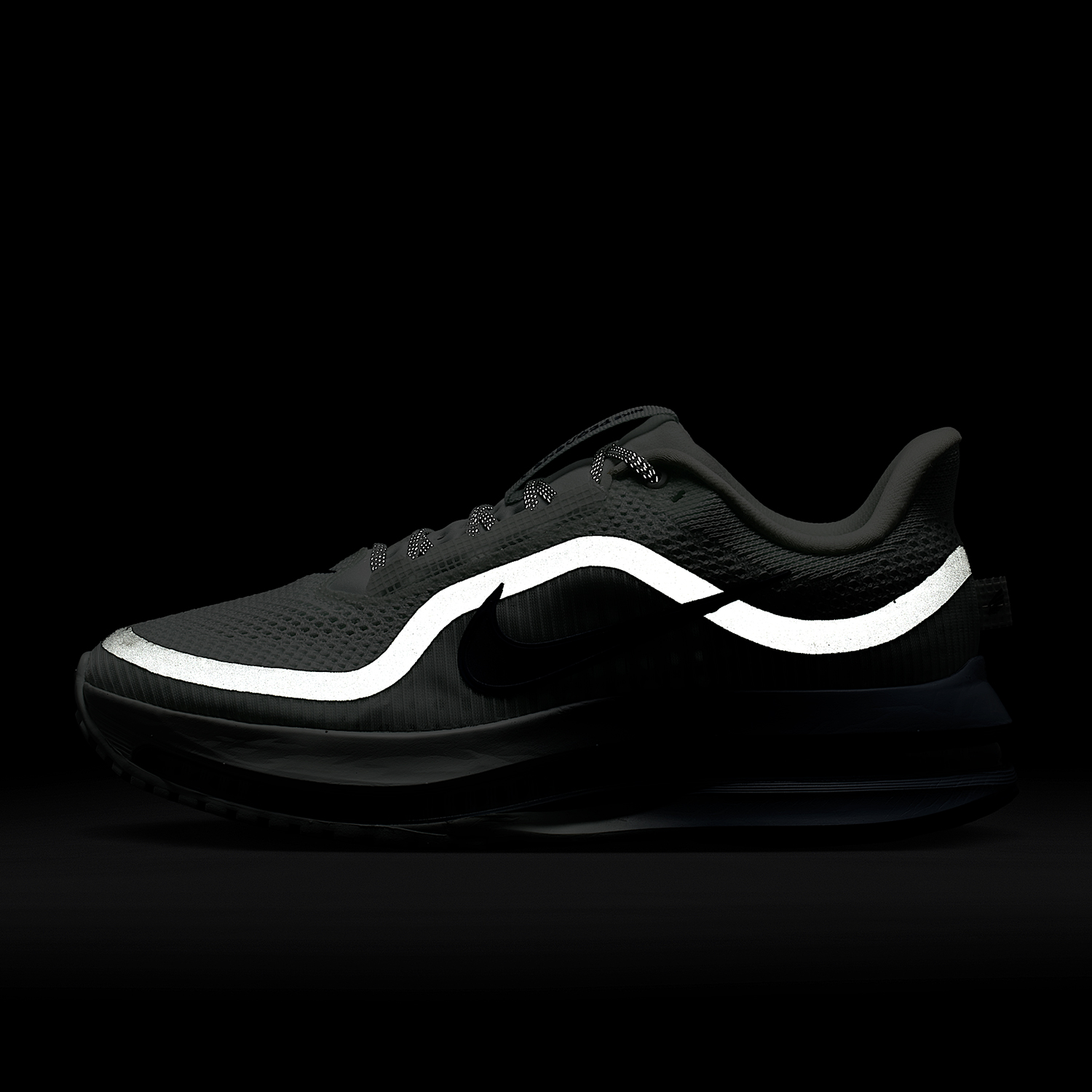 Nike genuine PEGASUS PREMIUM w - Women Shoes Running Nike recension och pris