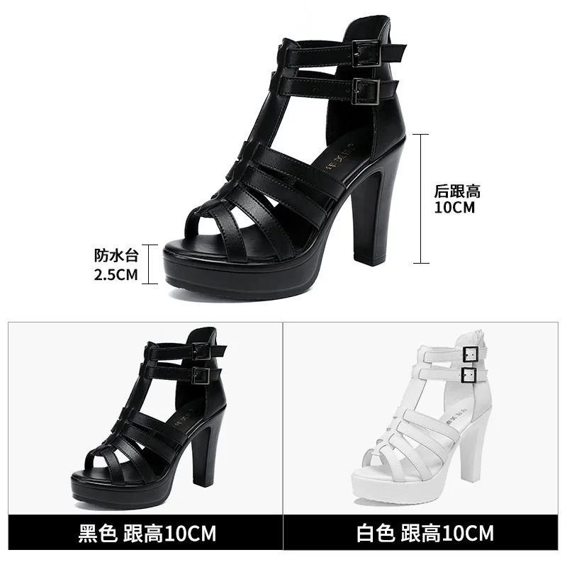Gladiator Ladies Shoe for Wome - Women'S Shoes Quality recension och pris